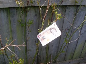 £10 note on a tree